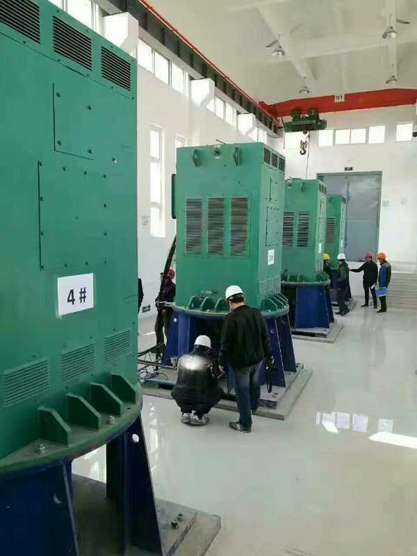 凌海某污水处理厂使用我厂的立式高压电机安装现场