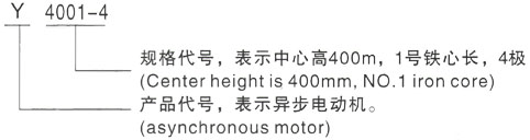 西安泰富西玛Y系列(H355-1000)高压凌海三相异步电机型号说明